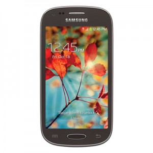 Samsung Galaxy Light T399 (T-Mobile) Unlock (Next Day)