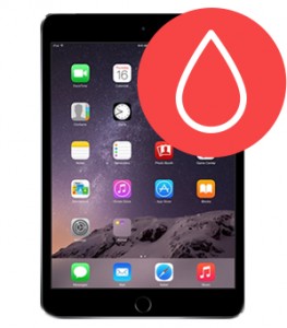 Water Damage Diagnostic Service  Water Damage Diagnostic Service
