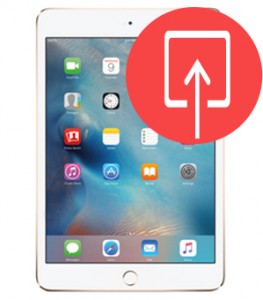 Charge Port Replacement  Charge Port Replacement