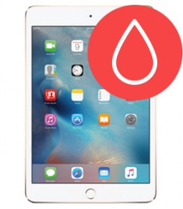 Water Damage Diagnostic Service  Water Damage Diagnostic Service