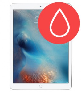 Water Damage Diagnostic Service  Water Damage Diagnostic Service