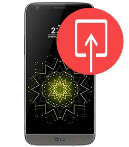 Charge Port Replacement  Charge Port Replacement